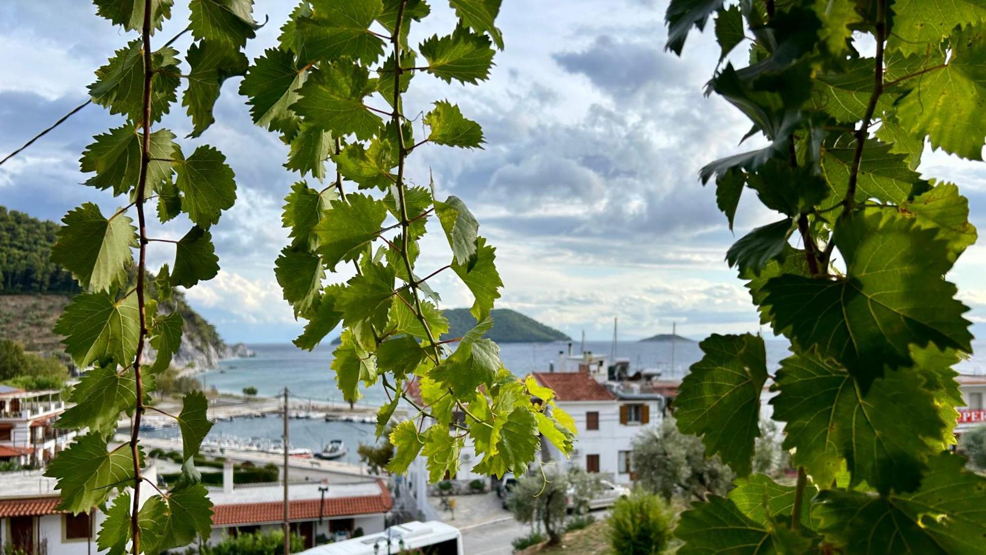 Sk Studios & Apartments Neo Klima Bagian luar foto
